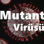 Mutant virüsünün bulaşıcılığı daha fazla