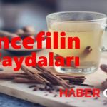 Zencefilin bitmek bilmeyen faydaları
