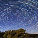 Ektiğimizi Biçme Zamanı Geldi!