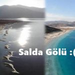 Kuraklık Salda Gölü'nü Vurdu!