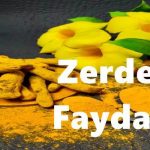 Zerdeçal Pek Bilinmeyen Şifaları