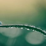 Dünya Su Günü Nedir? Dünya Su Gününün Tarihçesi