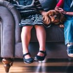 Evcil Hayvan Sahipleri İçin Kısıtlama Kuralları