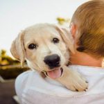 Evcil Hayvanlar İçin Bakım Önerileri