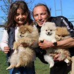 İstanbul da Yavru Köpek Eğitimi Veren Merkezler