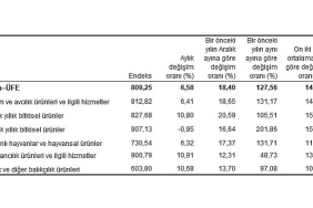 tarim-urunleri-uretici-fiyat-endeksi-tarim-ufe-yillik-%12756-aylik-658-artti.jpg