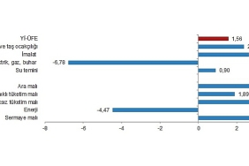 tuik-yurt-ici-uretici-fiyat-endeksi-yi-ufe-yillik-%7661-aylik-156-artti.jpg