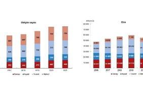 tuik-yurt-disinda-kontrol-edilen-girisim-istatistikleri-2021.jpg