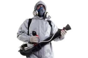 Bağcılar Böcek İlaçlama