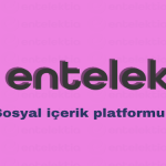 Entelektia: Bilgi, Eğlence ve Güzelliklerle Dolu Viral İçerikler