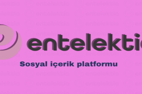 Entelektia: Bilgi, Eğlence ve Güzelliklerle Dolu Viral İçerikler