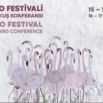 turkiyenin-ilk-flamingo-festivali-izmirde-gerceklesiyor.jpg