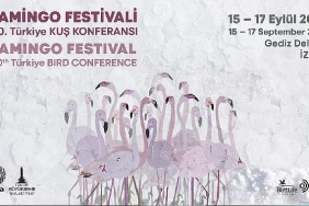 turkiyenin-ilk-flamingo-festivali-izmirde-gerceklesiyor.jpg
