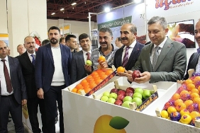 yas-meyve-sebze-sektoru-3022-milyar-dolarlik-ovp-ihracat-hedefine-4-milyar-dolar-katki-hedefliyor.jpg