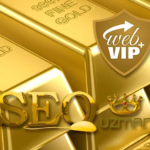 SEO Uzmanı, SEO Danışmanı Nedir?