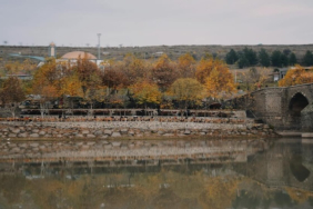 Diyarbakır'da Kiralık Konut Piyasası: Fırsatlar ve Zorluklar