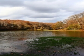 İstanbul'un En İyi 5 Piknik Alanı