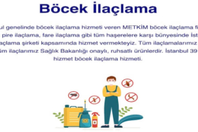Neden İlaçlama Yaptırmalıyım?