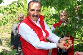 milyonlarca-kiraz-agaci-ihracat-rekoru-kirmak-icin-1-hafta-onceden-meyvelerini-verdi.jpg