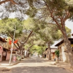 Birgi’de Yeşil Turizm Dönüşümü