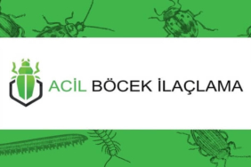 Böcek İlaçlama Fiyatları ve Anadolu Yakası'nda Hizmetler