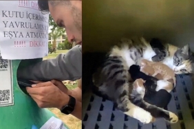 yavru-kedileri-buca-belediyesi-ekipleri-kurtardi.jpg