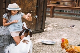 Ballıca Köyü Satılık Ev