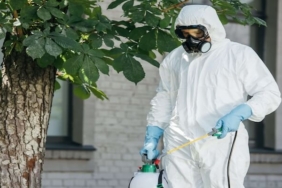 Ev İlaçlama ve Böcek İlaçlama