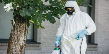 Ev İlaçlama ve Böcek İlaçlama