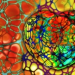 Aterosklerotik Kalp Hastalığı Nedir?