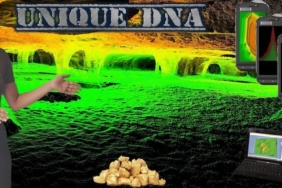 Unique Dna