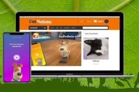 Kedi ve Köpek Tasmaları: Evcil Hayvanlarınız İçin Güvenlik ve Şıklık