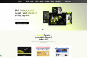 Dijital Rekabette Öne Geçin: Garantili SEO Yükselişi İçin Peak Web Dijital ile Tanışın