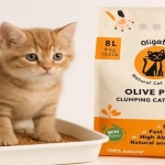 Kediniz ve dünya için devrim: Zeytin çekirdeğinden kedi kumu neden popüler?