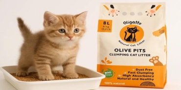 Kediniz ve dünya için devrim: Zeytin çekirdeğinden kedi kumu neden popüler?